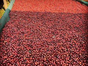 会社創業5周年を迎えて
