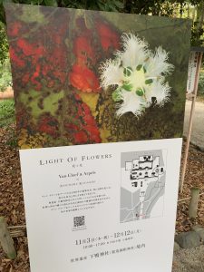 下鴨神社「LIGHT OF FLOWERS」に行ってきました。
