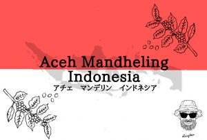 数量限定アチェ　マンデリン　インドネシア登場！！