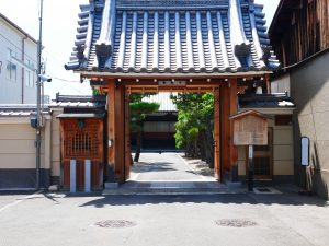 今日は猫の日と持続可能性の話