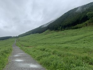弾丸箱根旅1日目後半　箱根湿生花園〜仙石原〜岡田美術館〜千条の滝